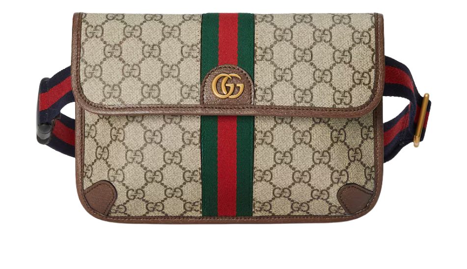 Ophidia small belt bag