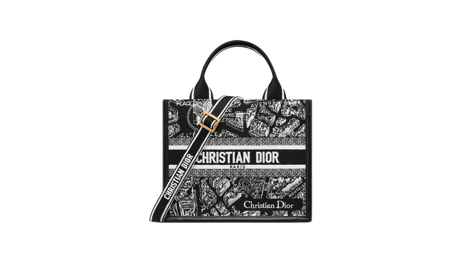 Small Dior Book Tote