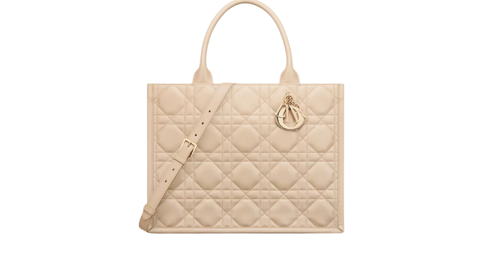 Medium Dior Book Tote