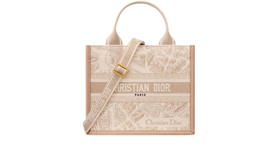 Small Dior Book Tote