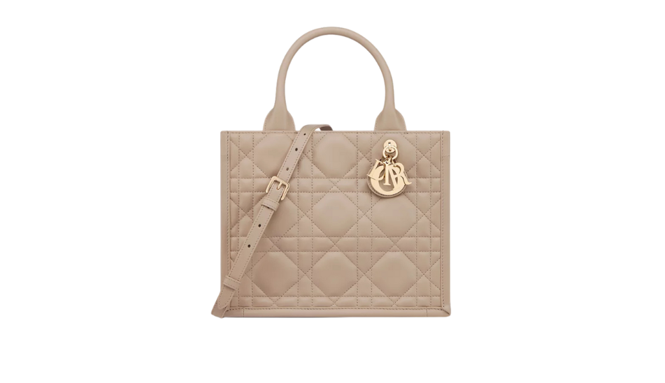 Small Dior Book Tote