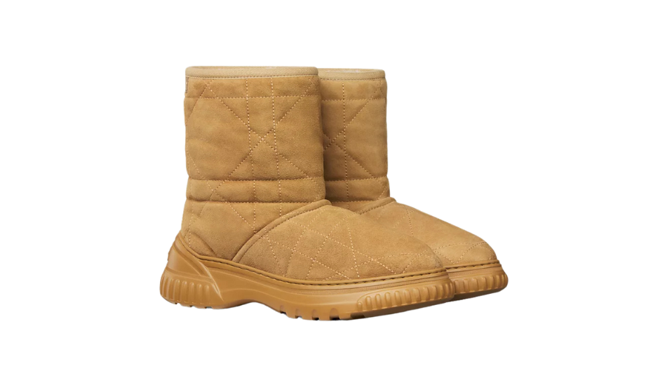 Dior Frost Ankle Boot