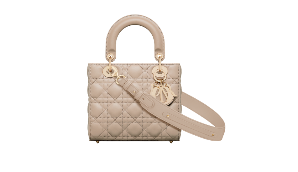 Small Lady Dior My ABCDior Bag