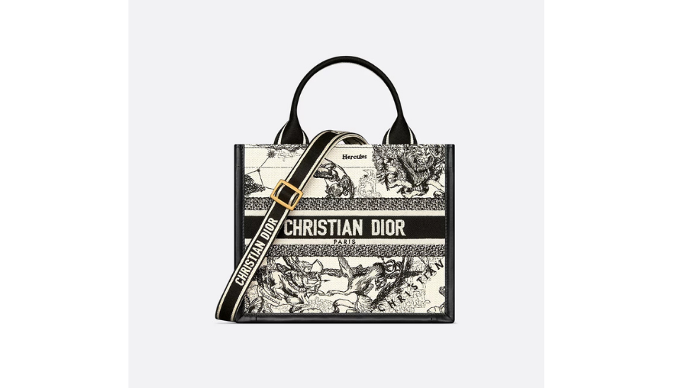Small Dior Book Tote