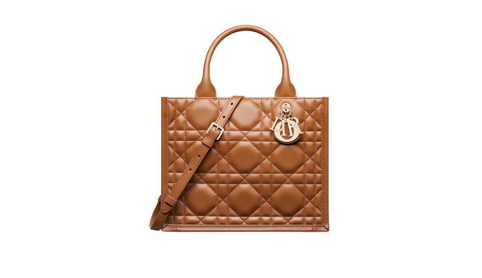 Small Dior Book Tote