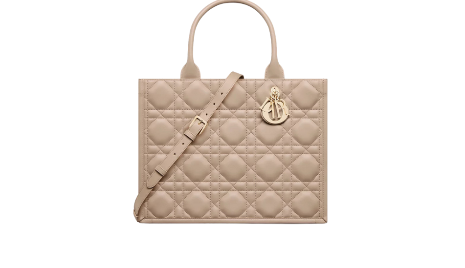 Medium Dior Book Tote
