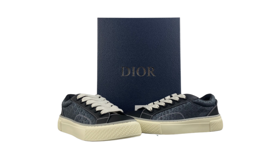 DIOR B27 Low Dior Oblique