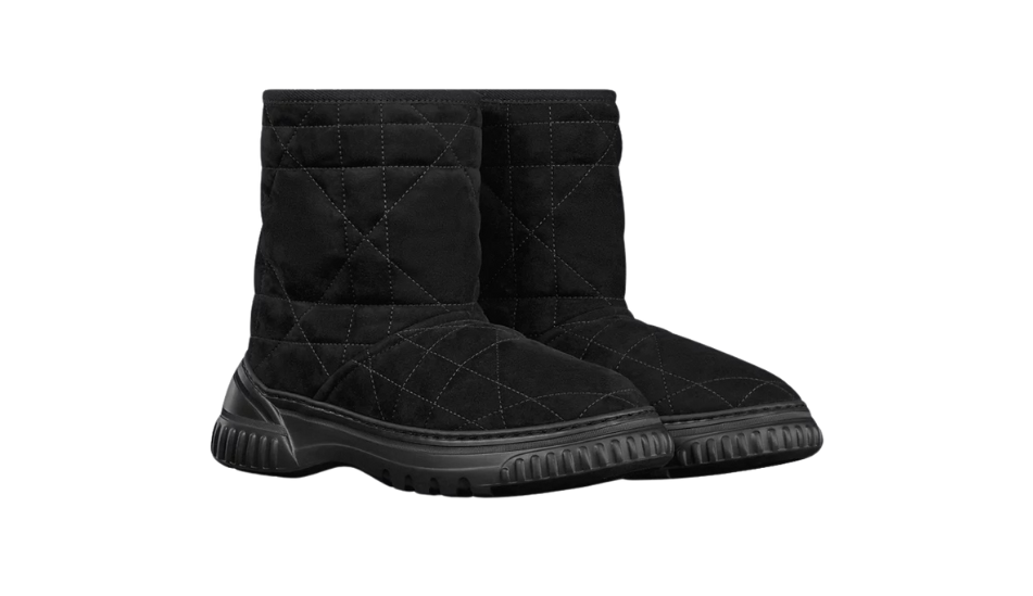 Dior Frost Ankle Boot