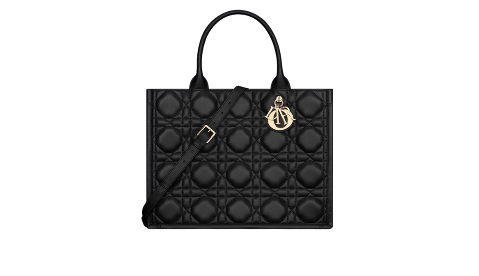 Medium Dior Book Tote