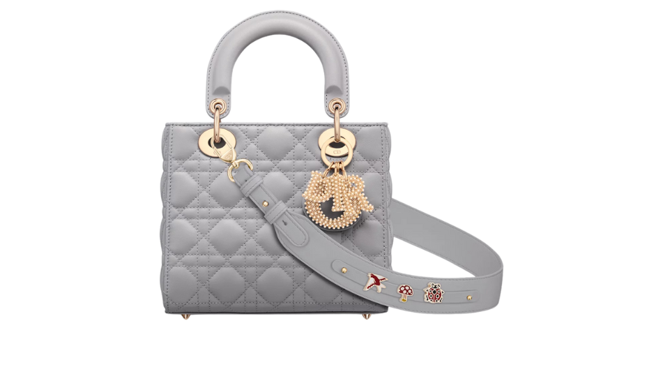 Small Lady Dior My ABCDior Bag