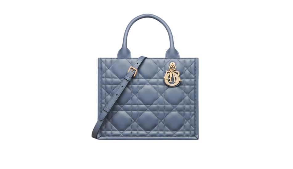 Small Dior Book Tote