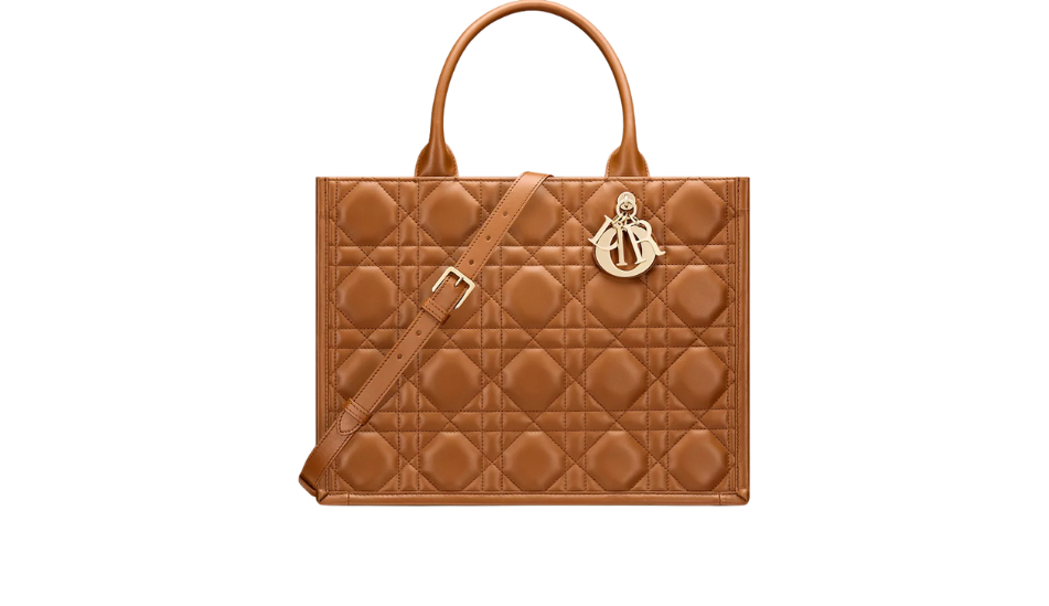 Medium Dior Book Tote