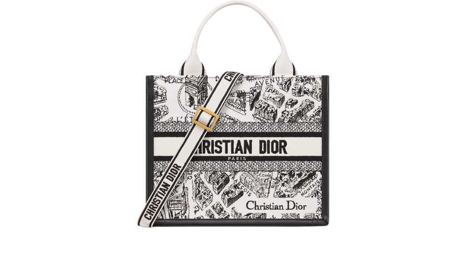 Small Dior Book Tote