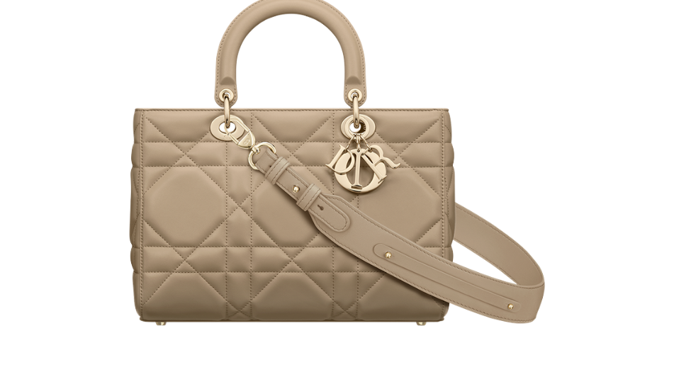 Medium Lady D-Sire My ABCDior Bag