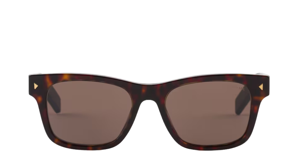 Sunglasses with iconic metal plaque