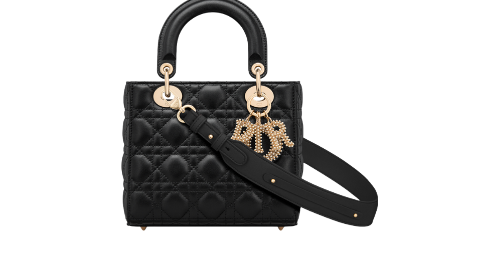 Small Lady Dior My ABCDior Bag
