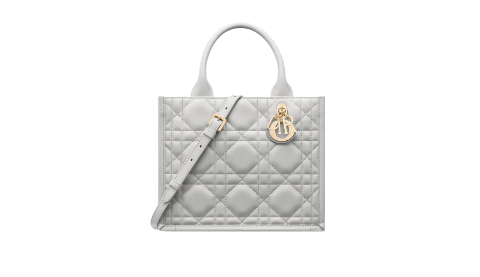 Small Dior Book Tote