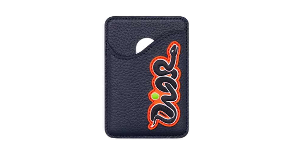 DIOR AND KAWS Saddle Magnetic Card Holder