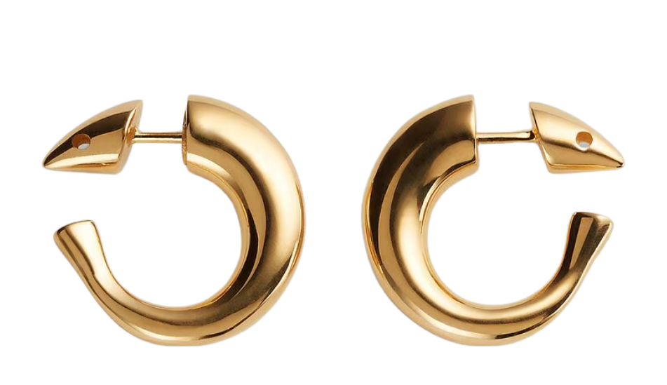 Sardine Hoop Earrings