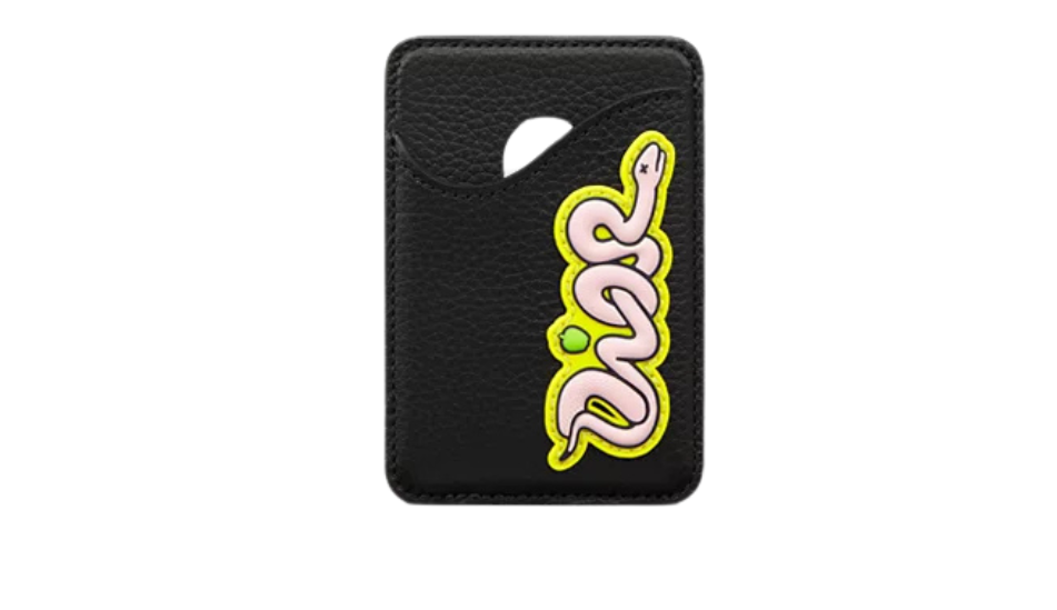 DIOR AND KAWS Saddle Magnetic Card Holder