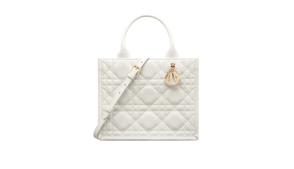 Small Dior Book Tote