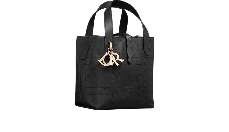 Small Dior Toujours Vertical Tote Bag