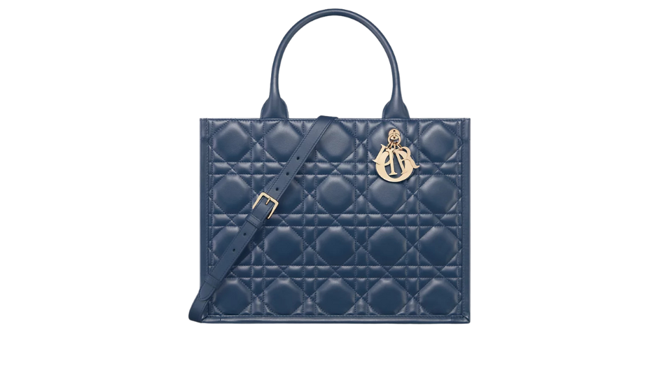 Medium Dior Book Tote