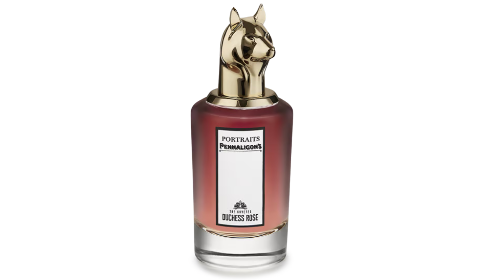 THE COVETED DUCHESS ROSE