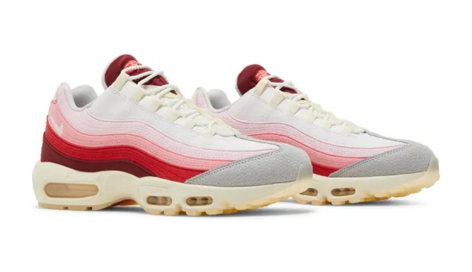 Nike Air Max 95 'Anatomy Of Air'